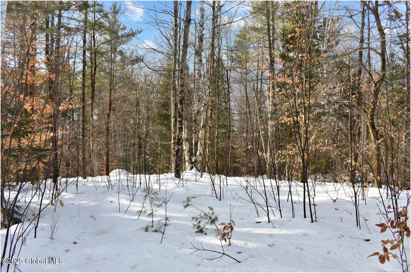 L97 Highview Lane Wevertown NY 12886