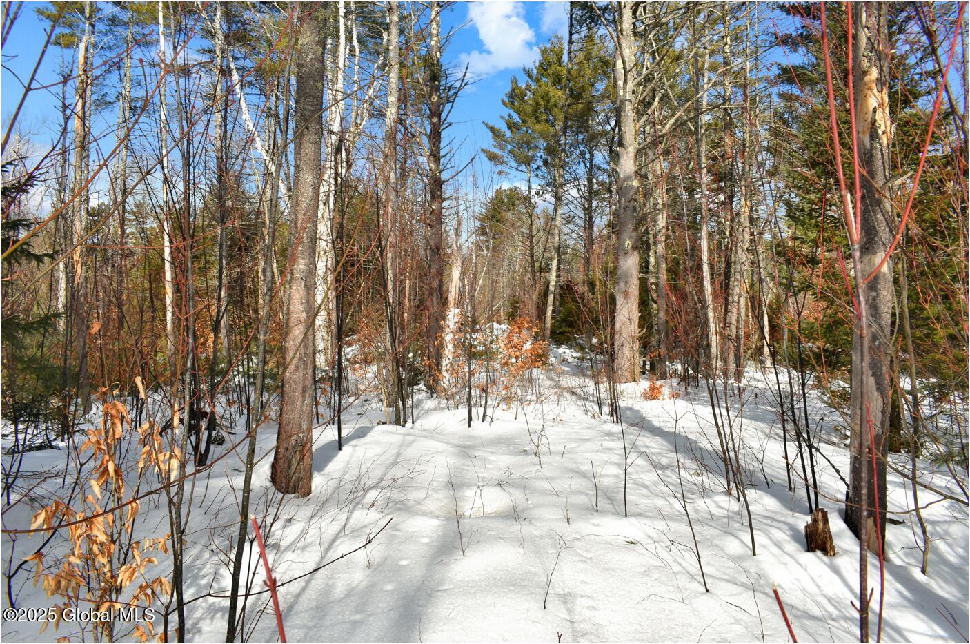 L97 Highview Lane Wevertown NY 12886