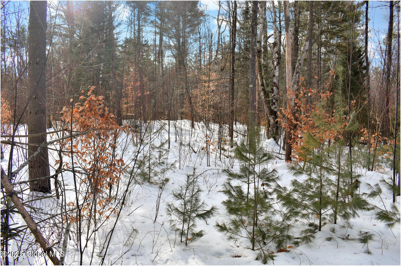 L97 Highview Lane Wevertown NY 12886