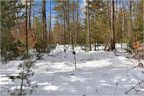 L97 Highview Lane Wevertown NY 12886