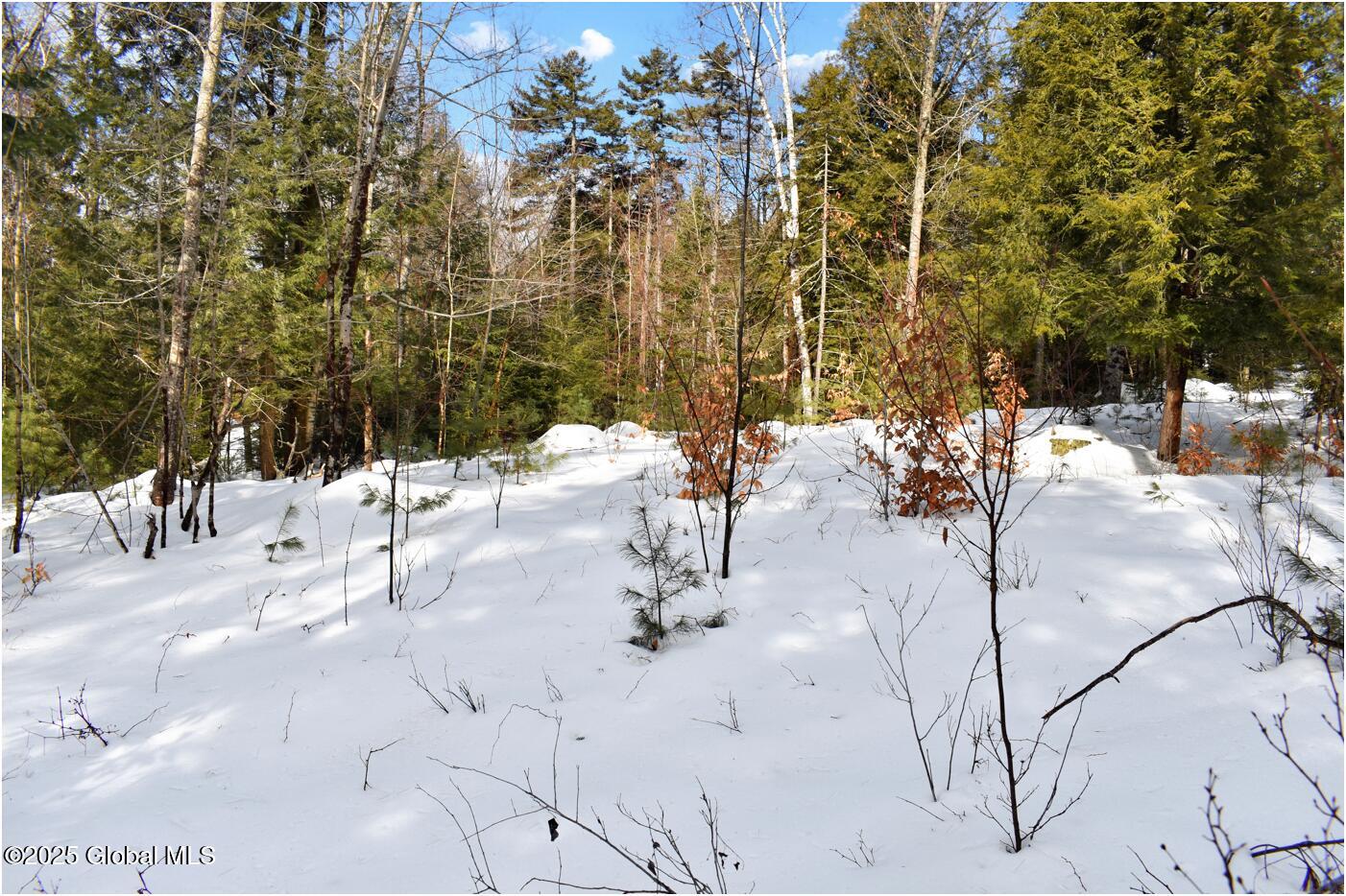 L97 Highview Lane Wevertown NY 12886