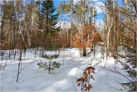 L97 Highview Lane Wevertown NY 12886