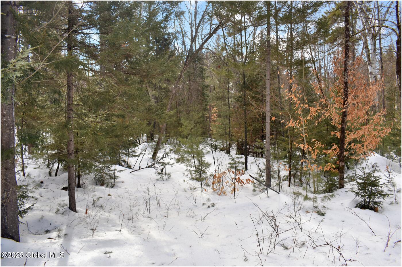 L97 Highview Lane Wevertown NY 12886