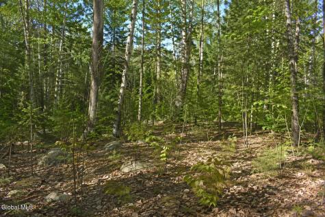 L97 Highview Lane Wevertown NY 12886