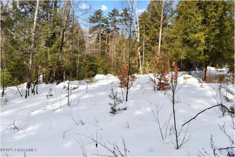 L97 Highview Lane Wevertown NY 12886