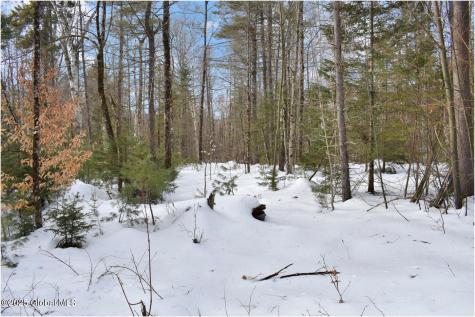 L97 Highview Lane Wevertown NY 12886