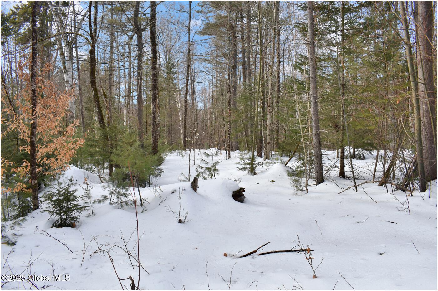 L97 Highview Lane Wevertown NY 12886