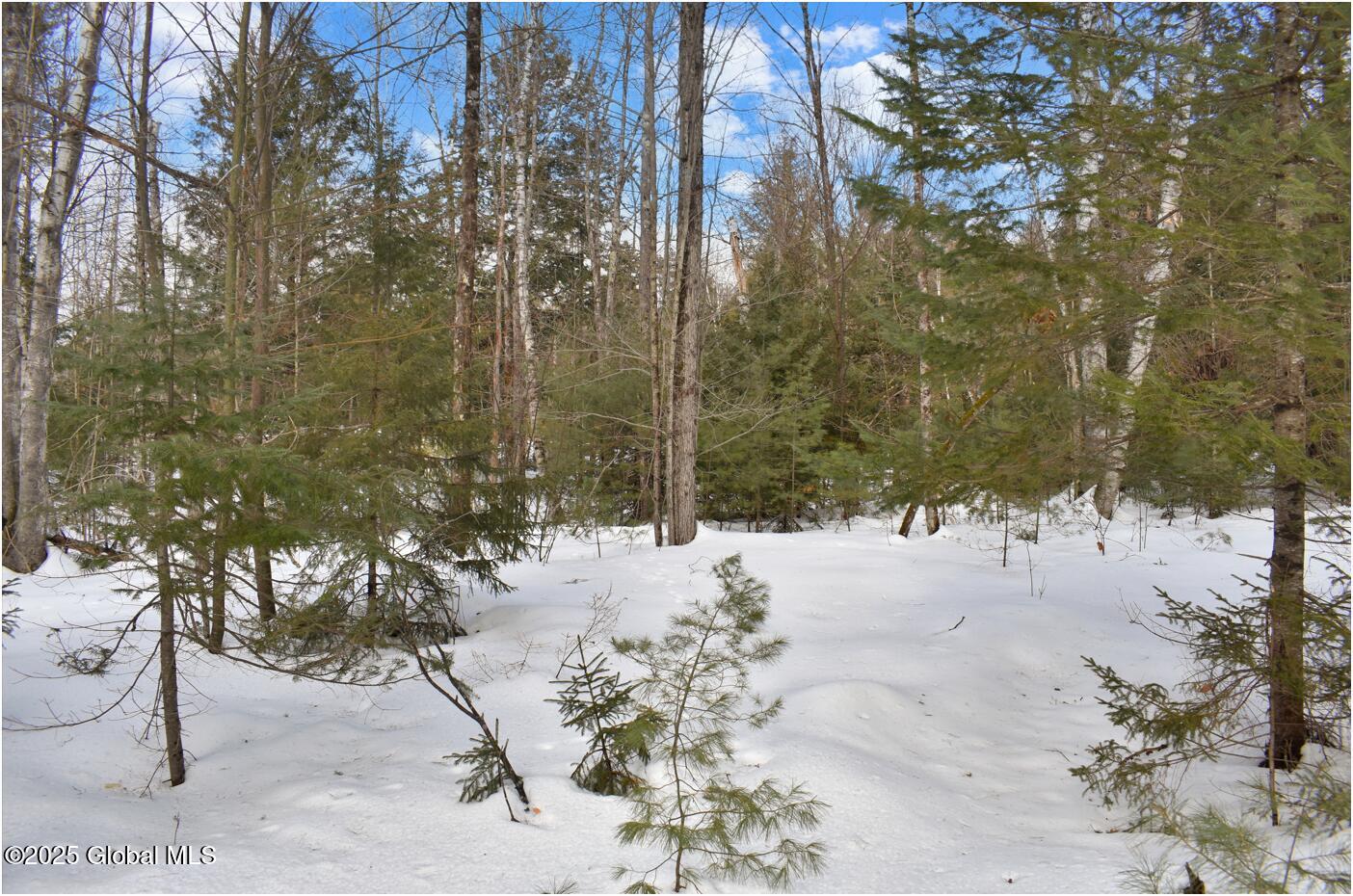 L97 Highview Lane Wevertown NY 12886