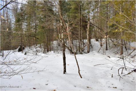 L97 Highview Lane Wevertown NY 12886