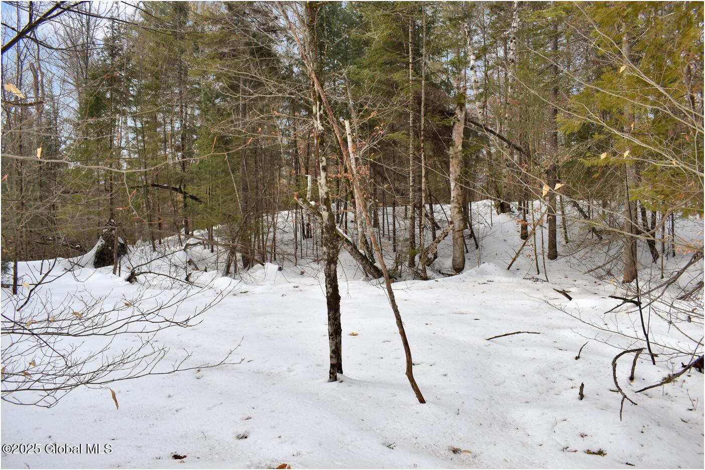 L97 Highview Lane Wevertown NY 12886