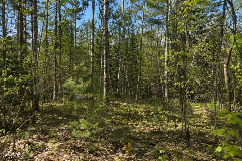 L97 Highview Lane Wevertown NY 12886