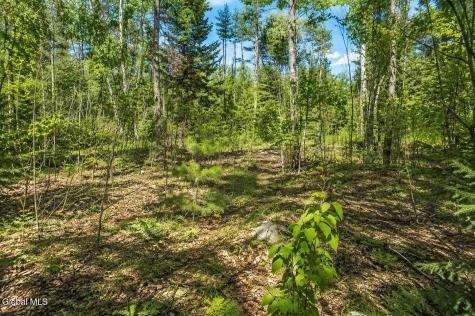 L97 Highview Lane Wevertown NY 12886