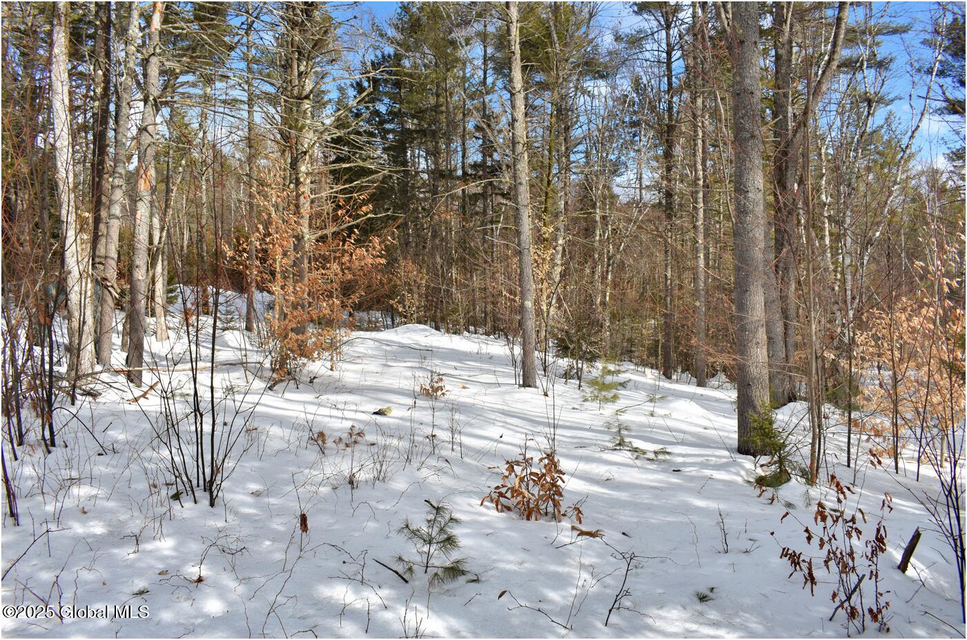 L97 Highview Lane Wevertown NY 12886
