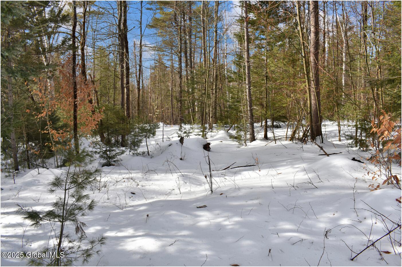 L97 Highview Lane Wevertown NY 12886