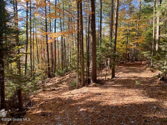 35 Mountain Path North Creek NY 12853