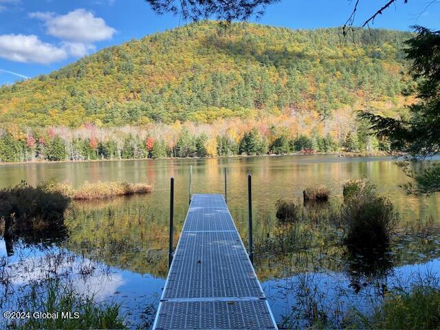 35 Mountain Path North Creek NY 12853