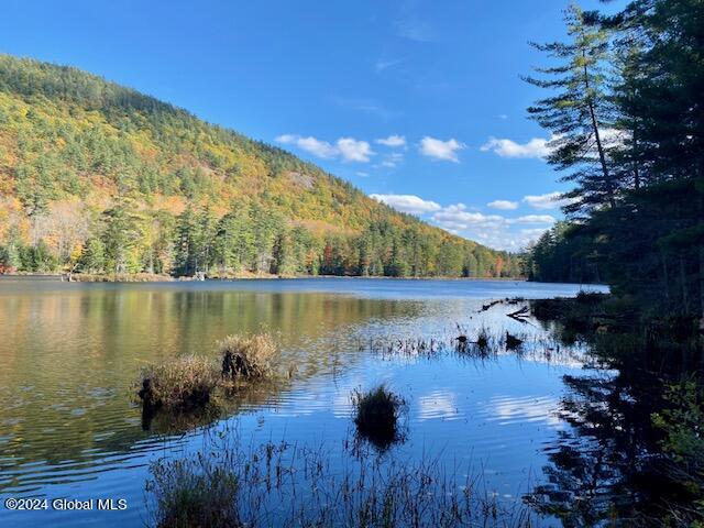 35 Mountain Path North Creek NY 12853