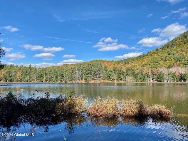 35 Mountain Path North Creek NY 12853