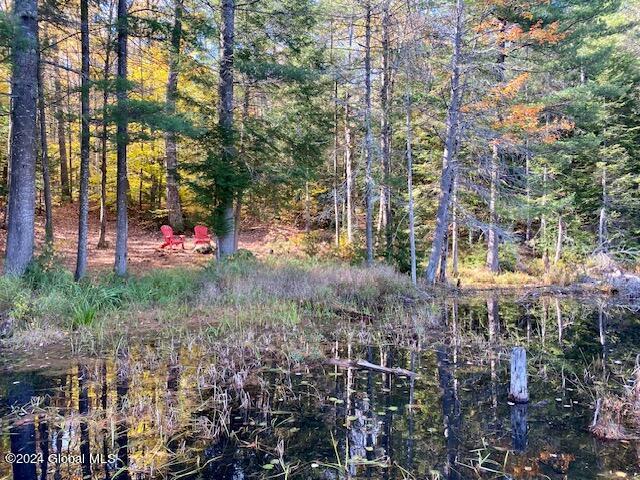 35 Mountain Path North Creek NY 12853