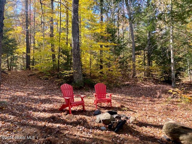 35 Mountain Path North Creek NY 12853