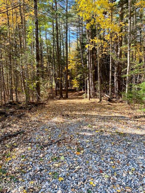 35 Mountain Path North Creek NY 12853