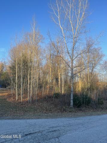 L10 Landon Drive Gloversville NY 12078
