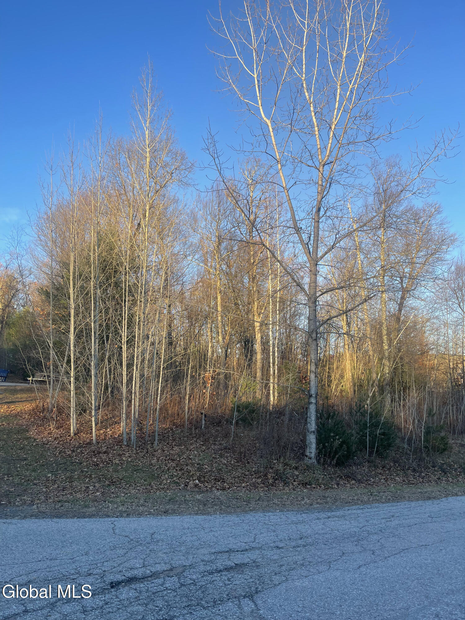 L10 Landon Drive Gloversville NY 12078