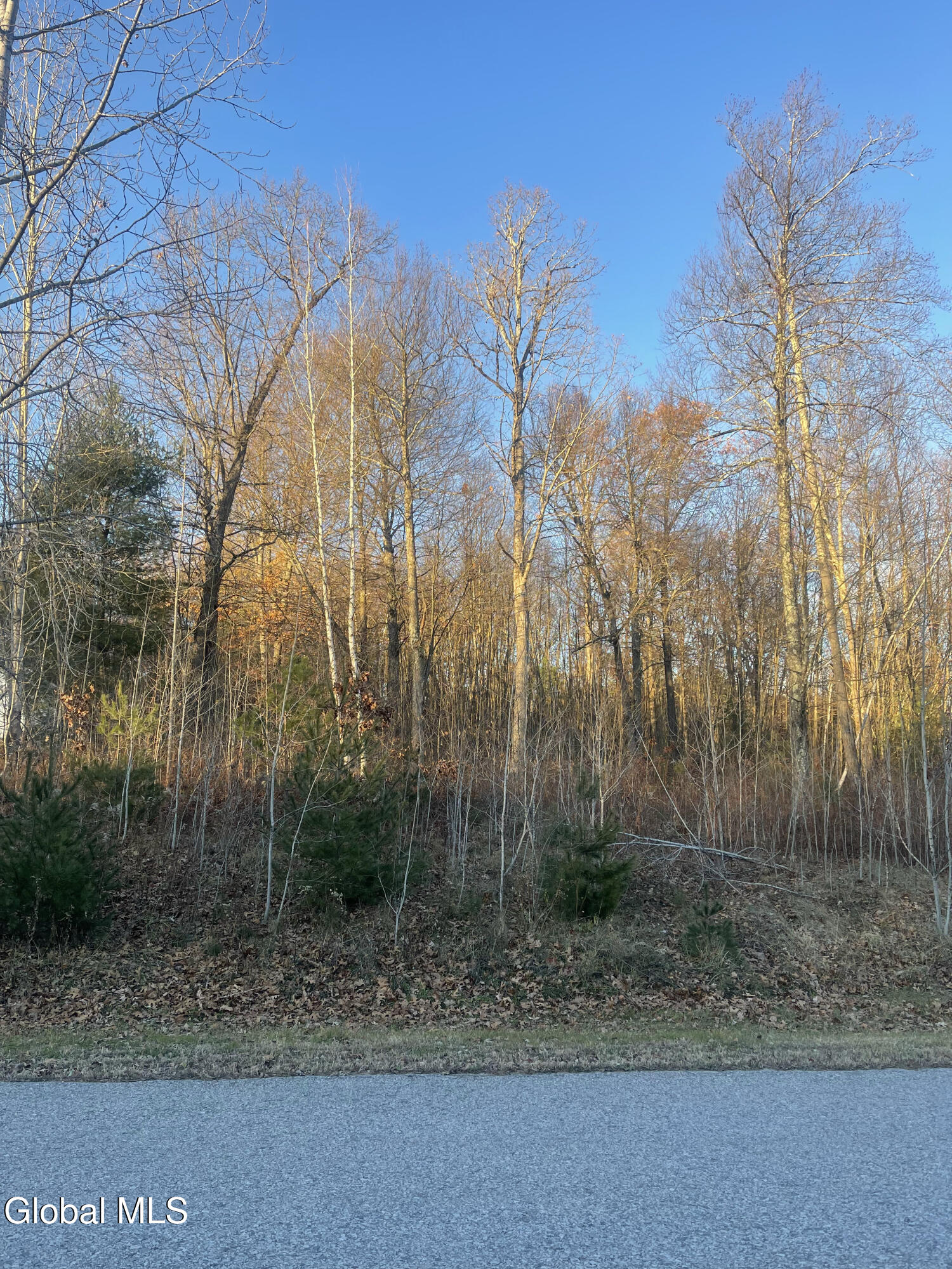 L10 Landon Drive Gloversville NY 12078