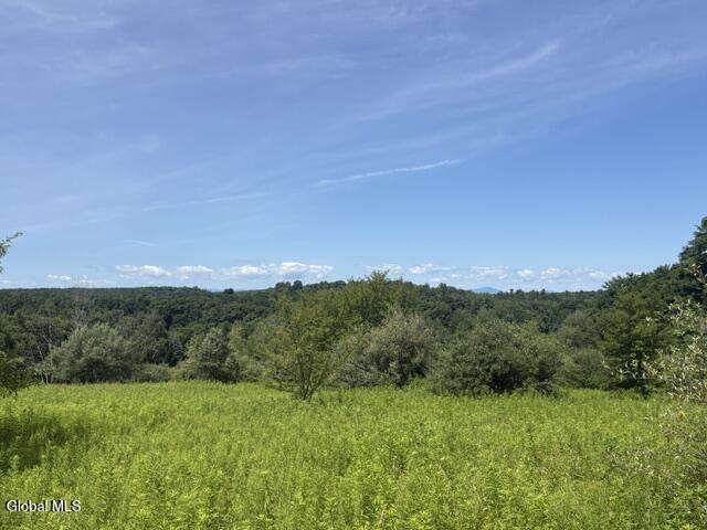 81 Maiers Road Taghkanic NY 12521