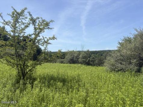 81 Maiers Road Taghkanic NY 12521
