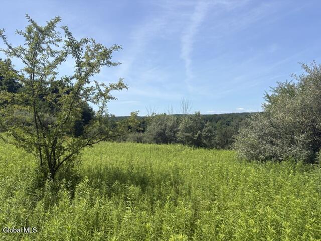 81 Maiers Road Taghkanic NY 12521