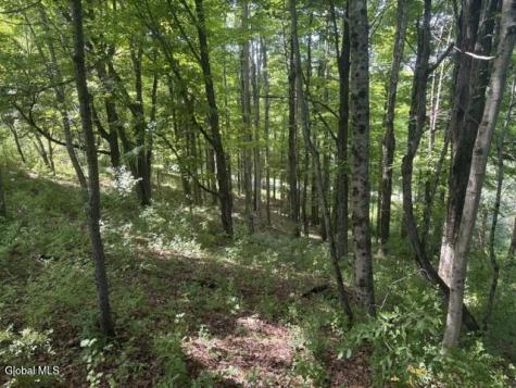 81 Maiers Road Taghkanic NY 12521