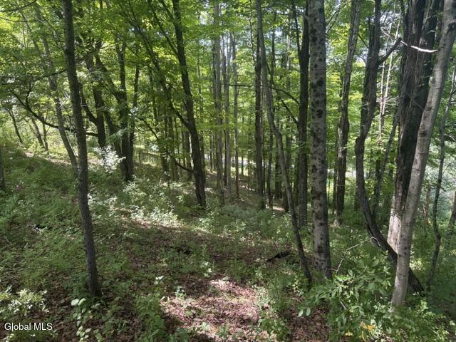 81 Maiers Road Taghkanic NY 12521