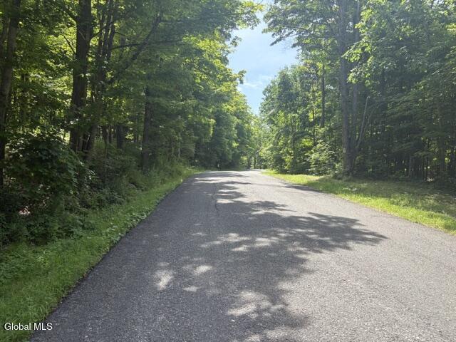 81 Maiers Road Taghkanic NY 12521