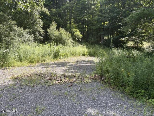 81 Maiers Road Taghkanic NY 12521