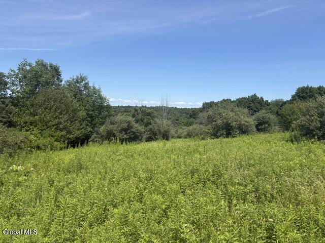 81 Maiers Road Taghkanic NY 12521
