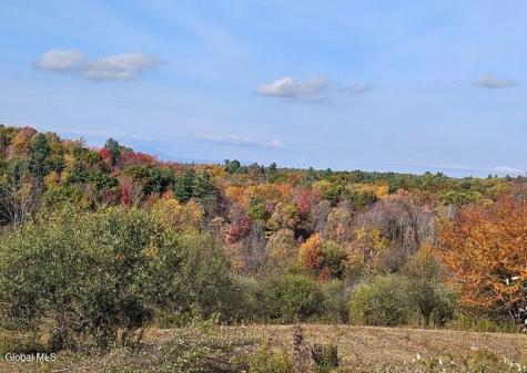 81 Maiers Road Taghkanic NY 12521