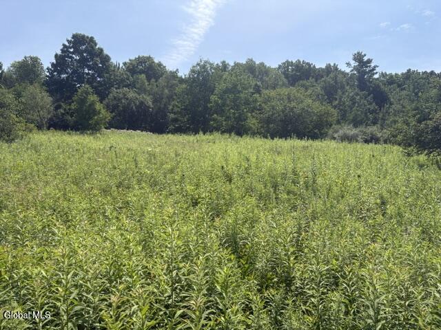 81 Maiers Road Taghkanic NY 12521