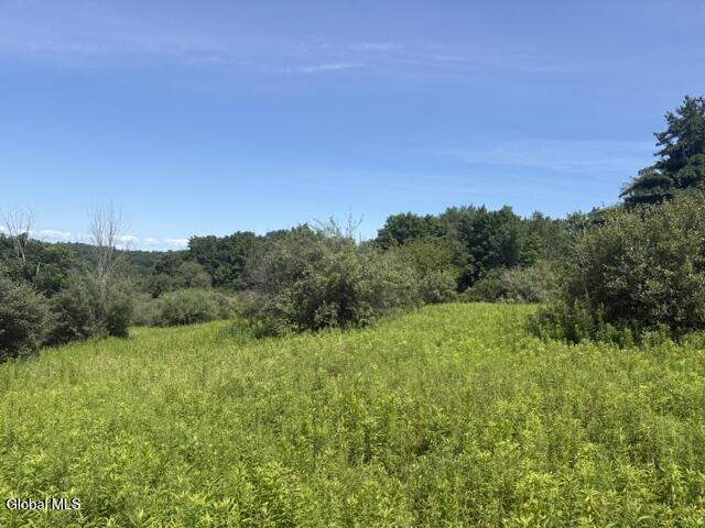 81 Maiers Road Taghkanic NY 12521