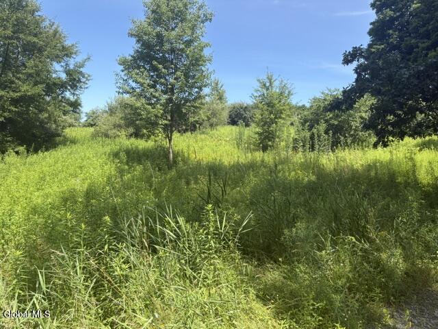 81 Maiers Road Taghkanic NY 12521