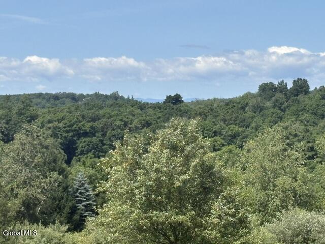 81 Maiers Road Taghkanic NY 12521
