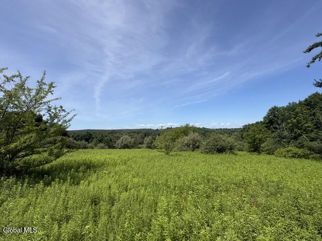 81 Maiers Road Taghkanic NY 12521