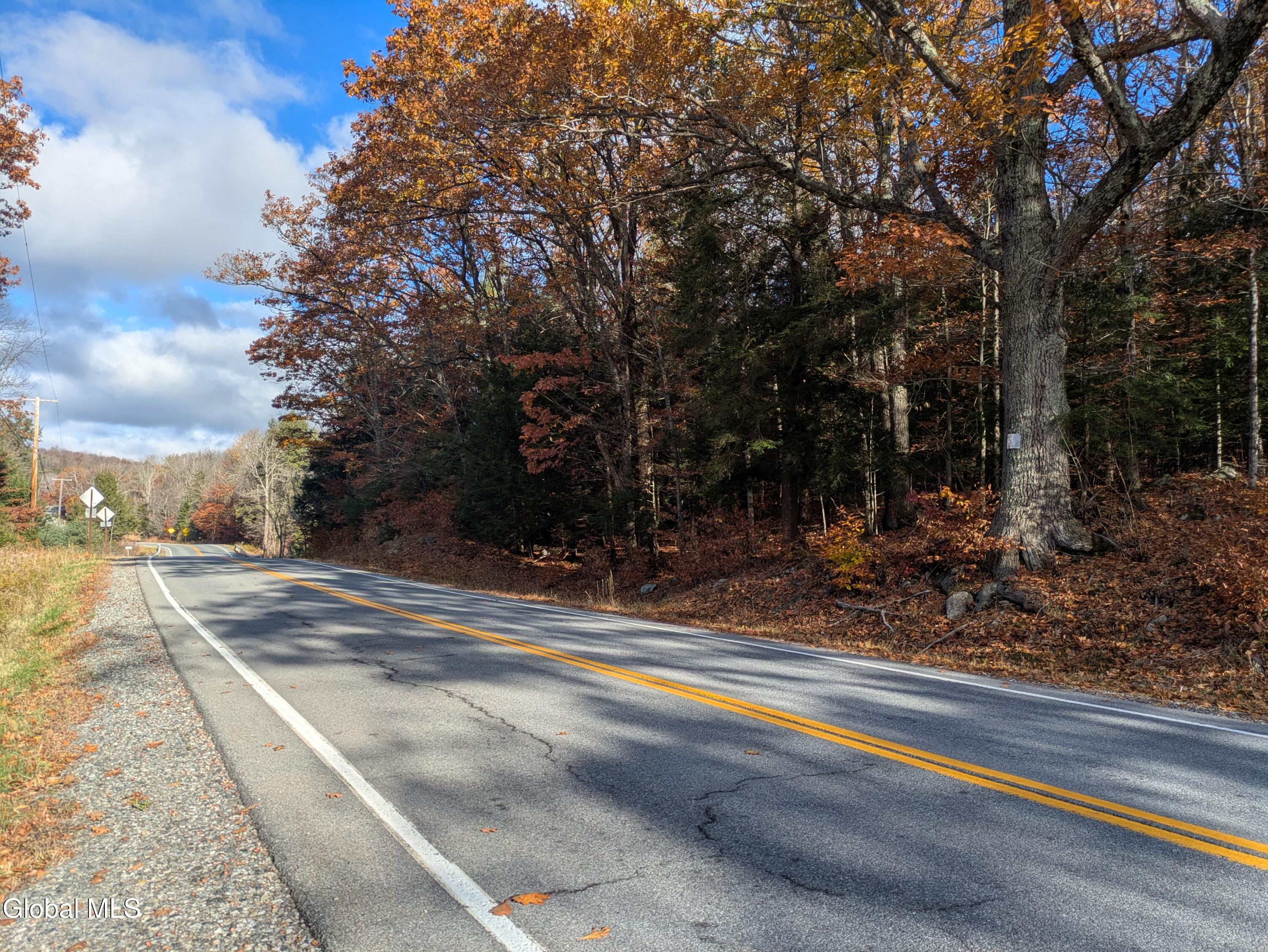 443 Lake Desolation Road Greenfield Center NY 12850