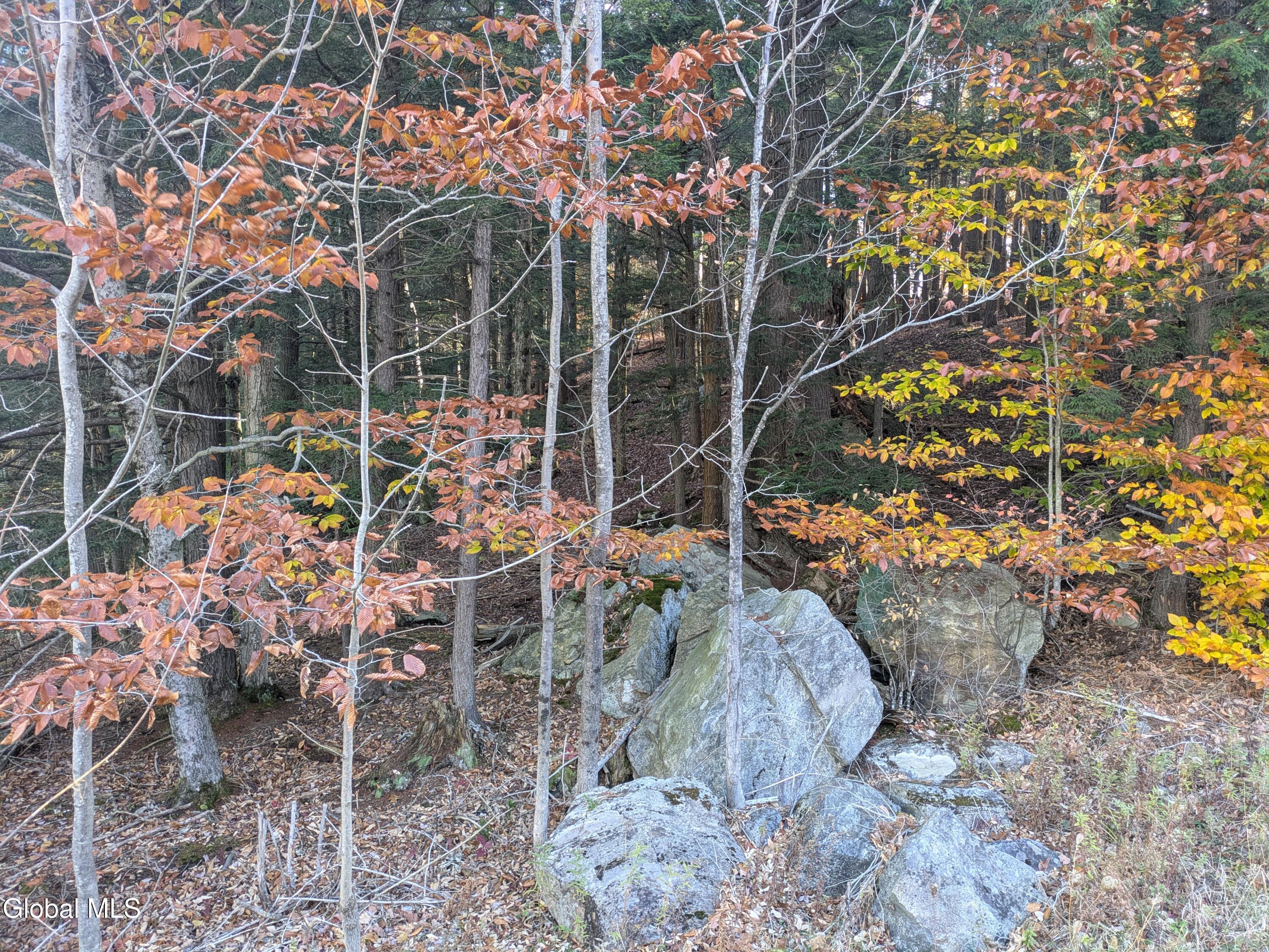 443 Lake Desolation Road Greenfield Center NY 12850