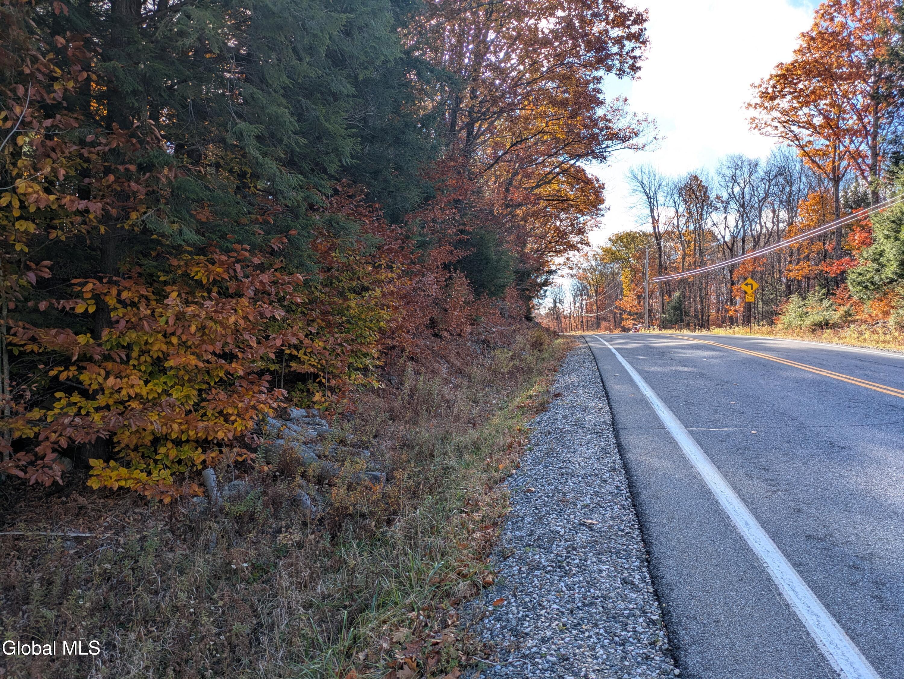 443 Lake Desolation Road Greenfield Center NY 12850