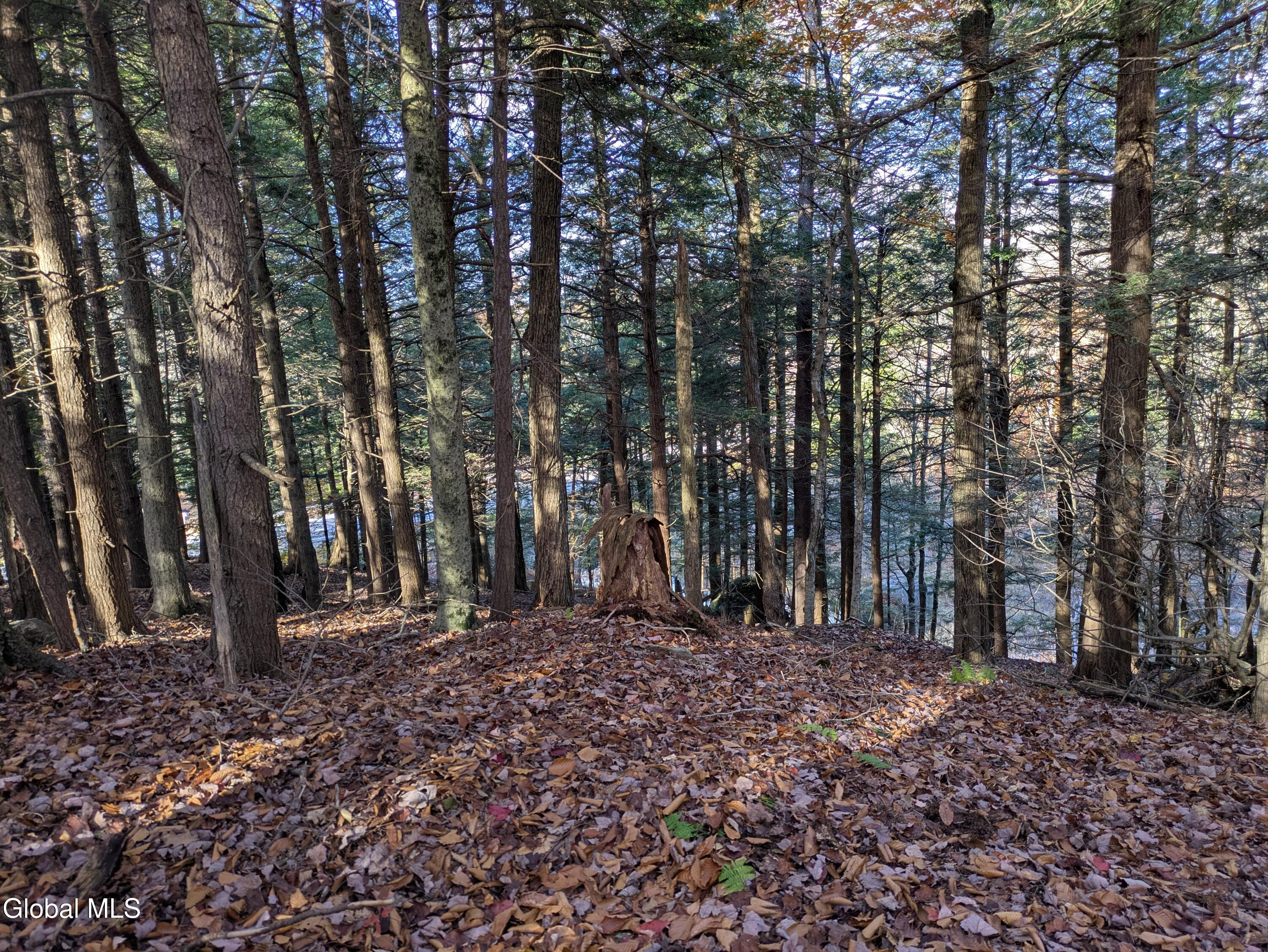 443 Lake Desolation Road Greenfield Center NY 12850