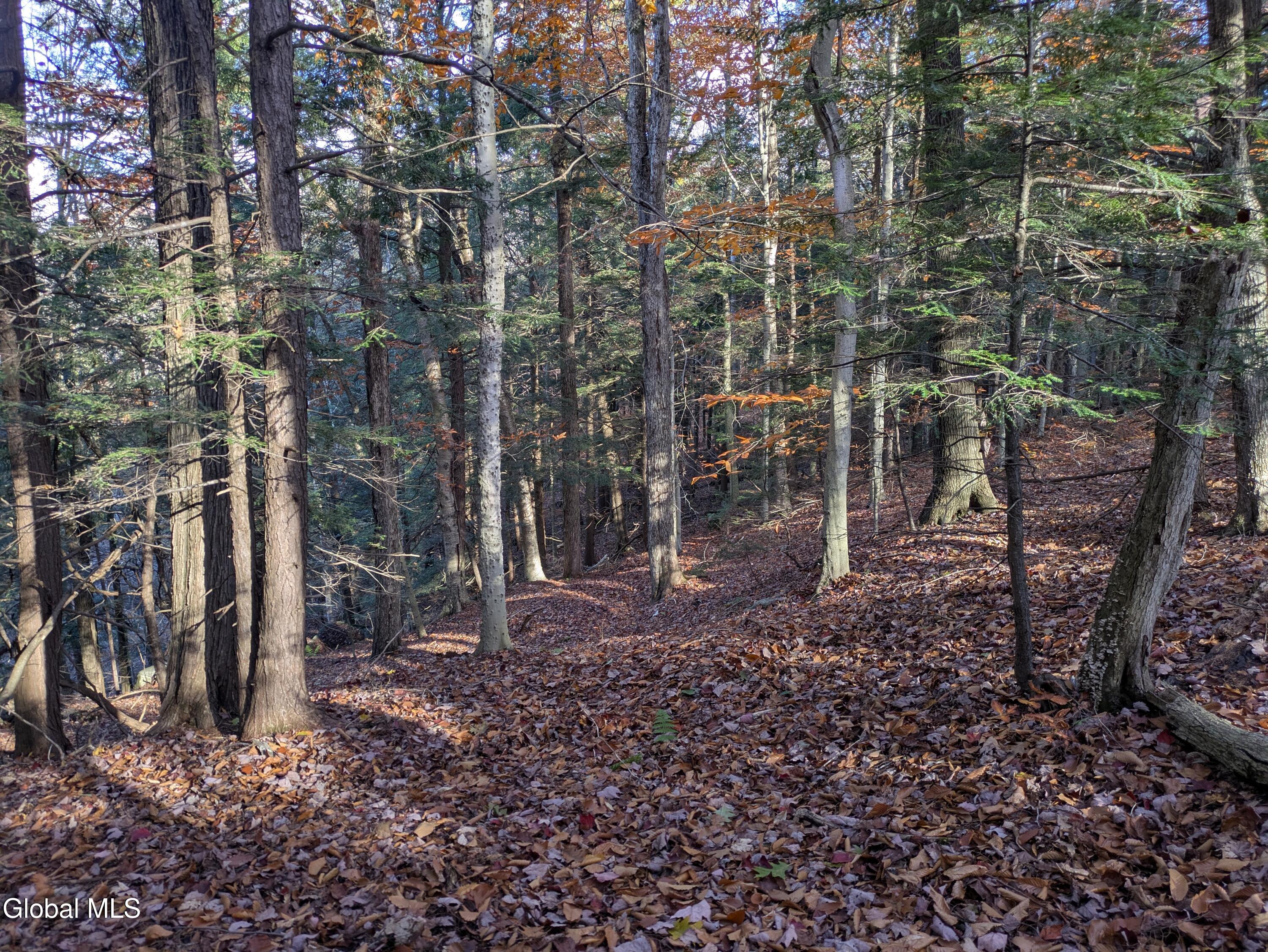 443 Lake Desolation Road Greenfield Center NY 12850
