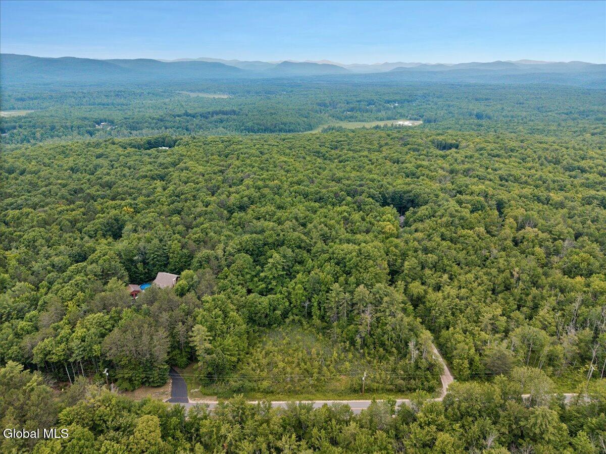 50 Lincoln Mountain Road Greenfield Center NY 12833