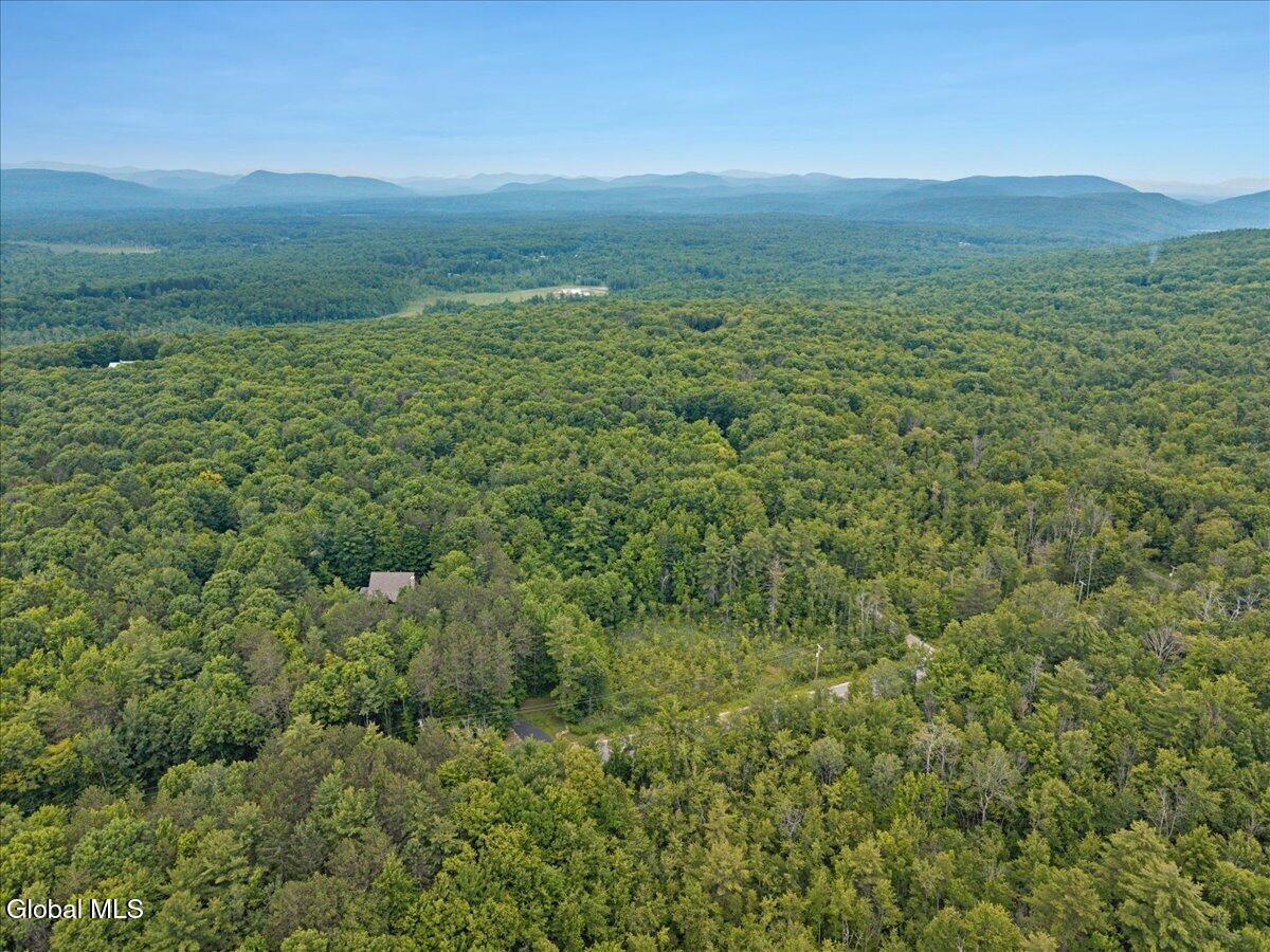 50 Lincoln Mountain Road Greenfield Center NY 12833