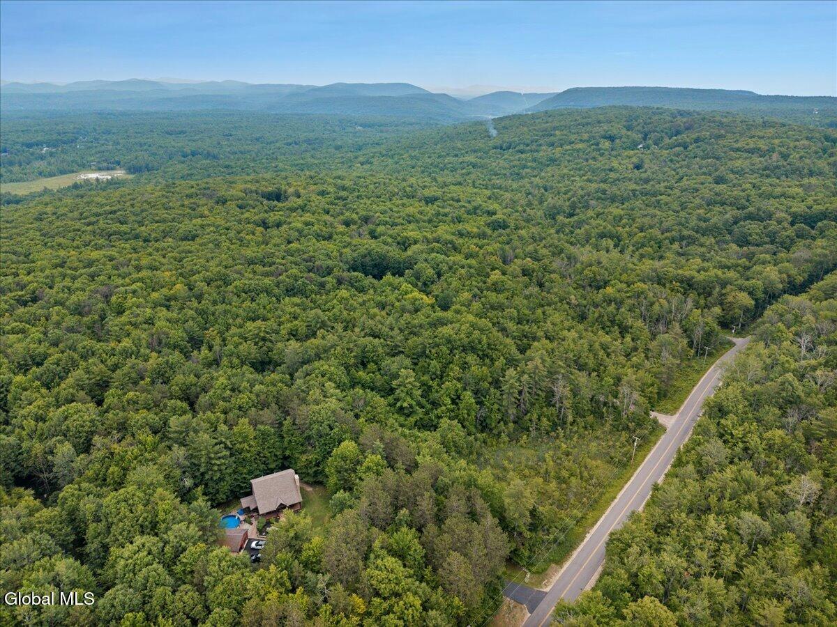 50 Lincoln Mountain Road Greenfield Center NY 12833
